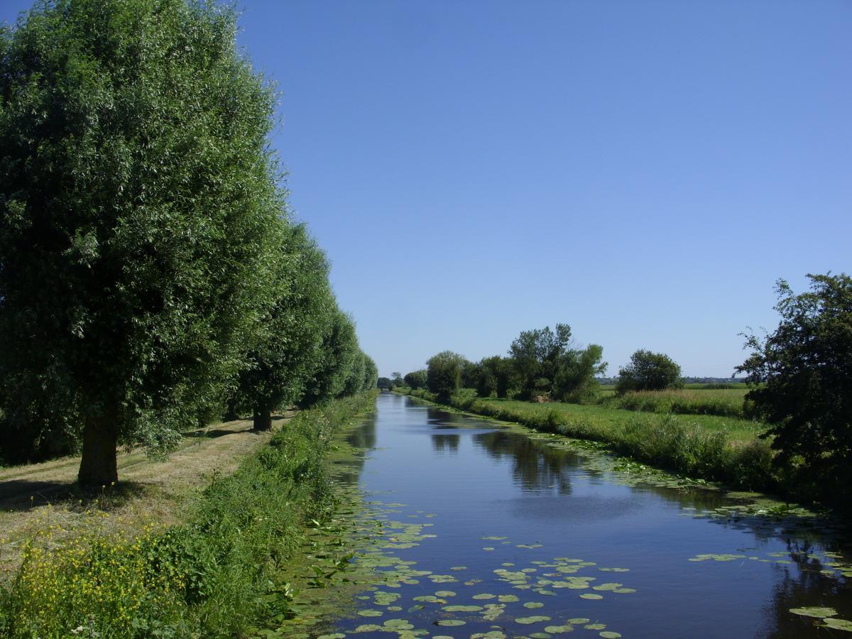Gite A La Ferme Entre Terre Et Mer Hérenguerville Exterior foto